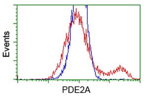 PDE2A Antibody (clone OTI2F1, Carrier-free)