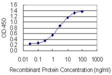IHC-plus™ NEU1 / NEU Antibody (clone 3F9)