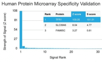 Monoclonal Mouse anti-Human CD71 / Transferrin Receptor Antibody (clone TFRC/1839, Azide-free,BSA-free, IHC, WB)