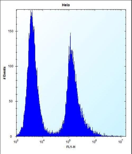 Vimentin Antibody (aa152-181)