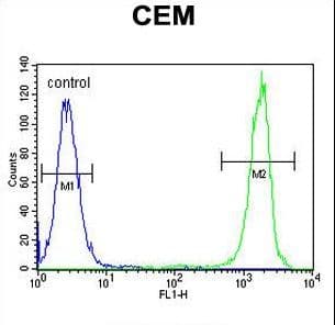 Polyclonal Rabbit anti-Human NUDT22 Antibody (aa220-249, IHC, WB)