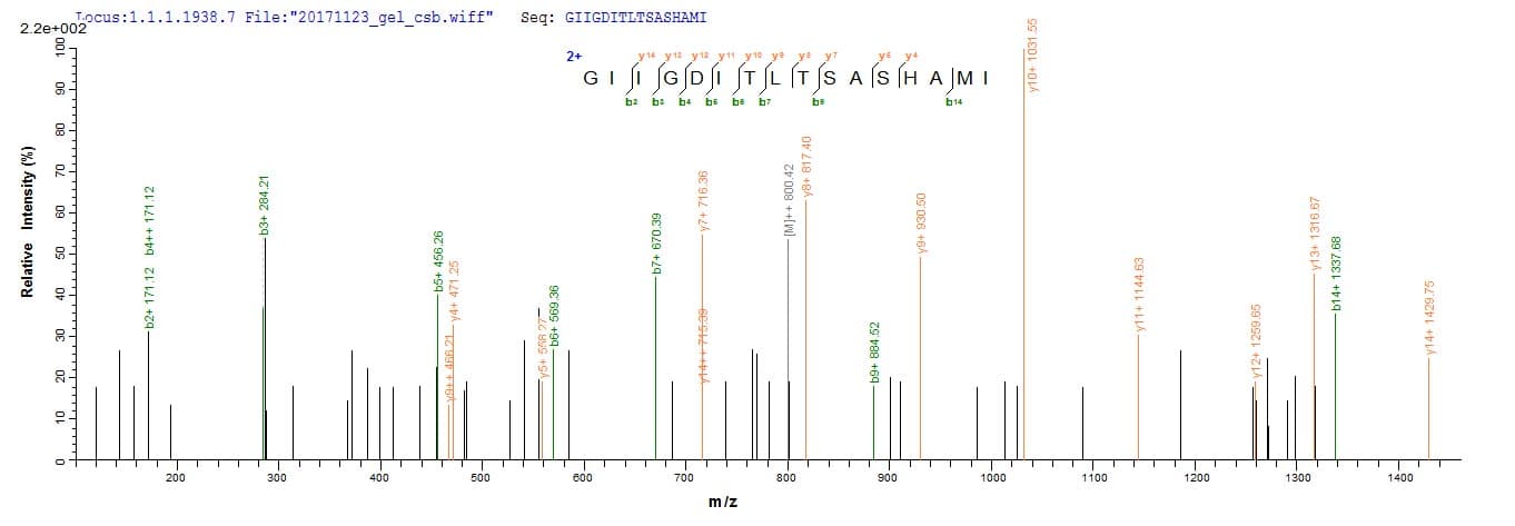 Rat LGALS3 / Galectin 3 Protein (Recombinant 6His, N-terminus)