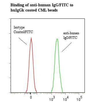 Monoclonal Mouse Anti-Human IgG Secondary Antibody (clone ICO-97, FITC)