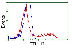 KIAA0153 / TTLL12 Antibody (clone OTI1A2)