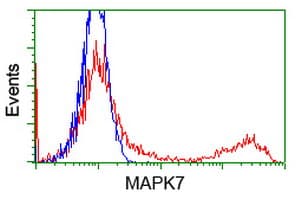 MAPK12 / ERK6 / SAPK3 Antibody (clone OTI3D4, Carrier-free)