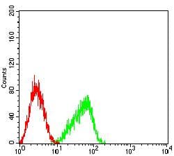 Monoclonal Mouse anti-Human FCAMR Antibody (clone 5B1D12E1, WB)
