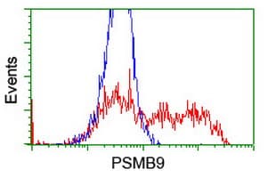 PSMB9 Antibody (aa21-219, clone OTI1F10, Carrier-free)