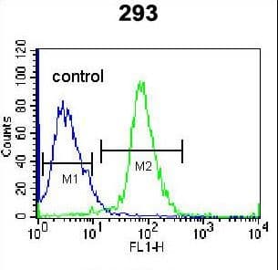 Polyclonal Rabbit anti-Human TNFSF15 / TL1A / VEGI Antibody (aa148-175, IF, WB)