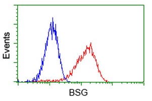 Basigin / Emmprin / CD147 Antibody (clone OTI3H1)