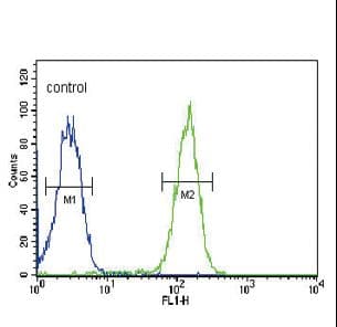 Polyclonal Rabbit anti-Human SLC9A3R1 / NHERF1 / EBP50 Antibody (aa168-197, WB)