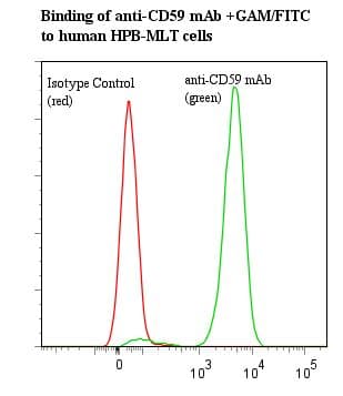 CD59 Antibody (clone BRA-10G)