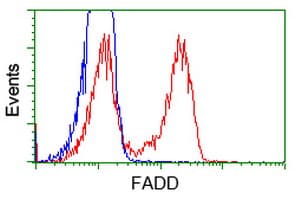 Monoclonal Mouse anti-Human FADD Antibody (clone OTI1C11, WB)