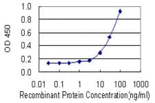ADH5 Antibody (clone 12F7)