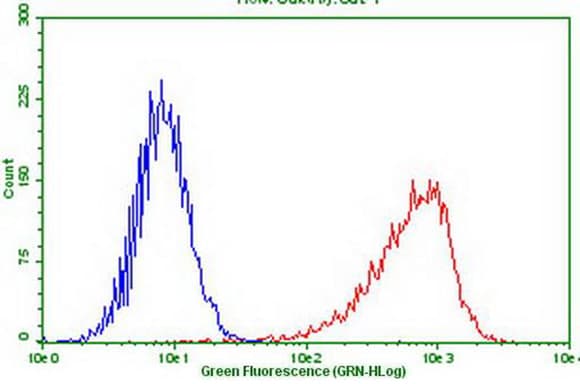 PDCD1 / CD279 / PD-1 Antibody (clone OTI9G6)