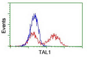 TAL1 Antibody (clone OTI3E2, Carrier-free)