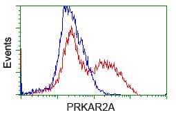 PRKAR2A Antibody (clone OTI5F1)