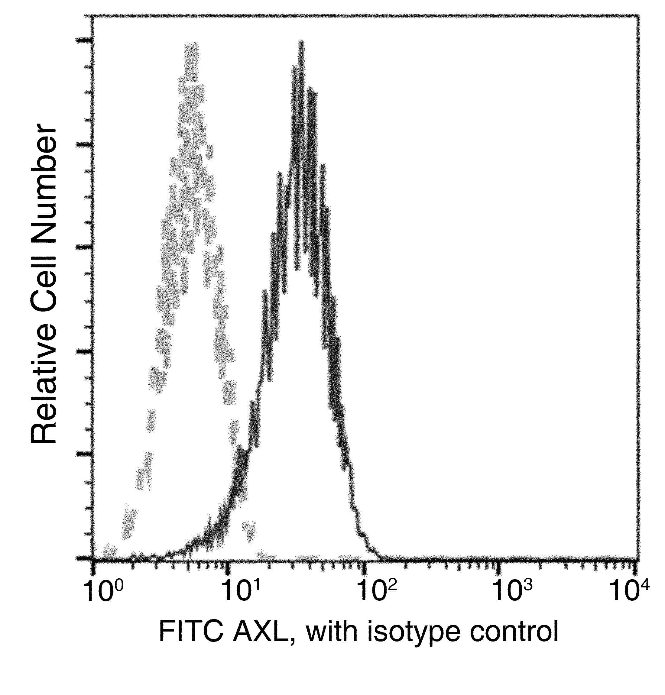 AXL Antibody (clone 101, FITC)