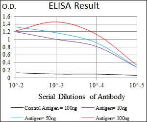 CHGA / Chromogranin A Antibody (aa87-252, clone 1A6B6)