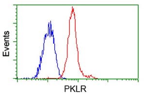 PKLR Antibody (clone OTI1C7)