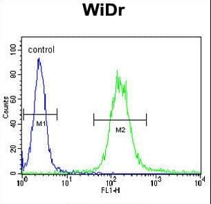 IGF1R / IGF1 Receptor Antibody (aa51-77)