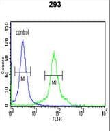 HURP / DLGAP5 Antibody (aa228-258)