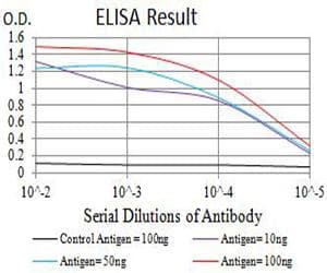 GLRA1/Glycine Receptor Alpha 1 Antibody (clone 7F8E2)