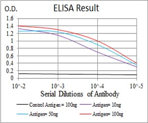HIST2H3A Antibody (clone 6D3B9)