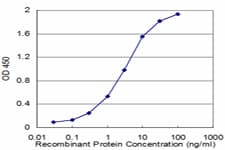 Monoclonal Mouse anti-Human PON1 / ESA Antibody (clone 2H7, WB)