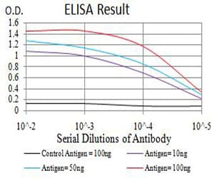 Monoclonal Mouse anti-Human TFAP2B / AP2 Beta Antibody (clone 6F7G1, WB)