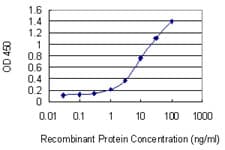AXIN2 / Axin 2 Antibody (clone 3B6)