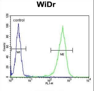 CCDC3 Antibody (aa195-222)