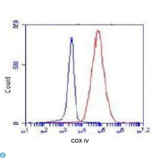 COXIV / COX4 Antibody