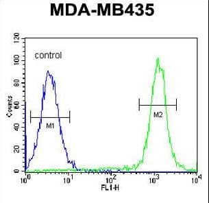 C1orf26 Antibody (aa286-314)