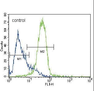 GATA4 Antibody (aa298-328)