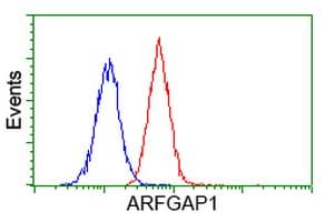 ARFGAP1 Antibody (clone OTI2C5)