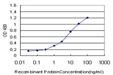 NMI Antibody (clone 9B8)