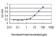 CMAS Antibody (clone 5A2)