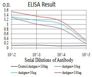 Monoclonal Mouse anti-Human CHRNA6 Antibody (clone 5B6G8, IHC, WB)