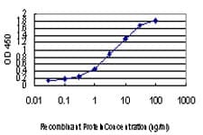Monoclonal Mouse anti-Human FOXA2 Antibody (clone 4C2, IF, WB)