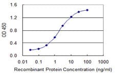 MYCBP Antibody (clone 2E9)