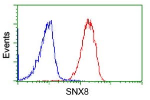 IHC-plus™ SNX8 Antibody (clone 4F8)