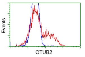 OTUB2 Antibody (clone OTI11A5, Carrier-free)