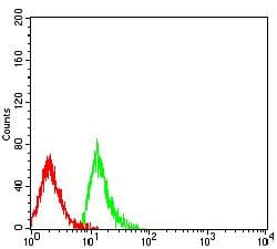 CLEC4M / L-SIGN / CD299 Antibody (clone 8A1B3)