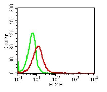 TNF Alpha Antibody