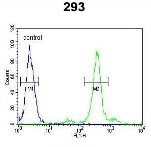 PGD Antibody (aa236-265)
