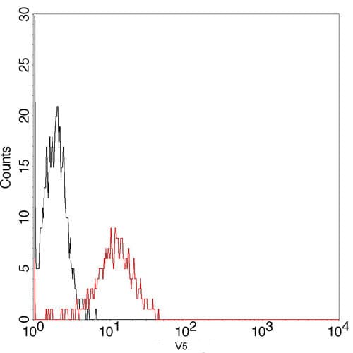 V5 Tag Antibody (clone 4C12E11)