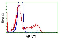 ARNTL / BMAL1 Antibody (clone OTI3G9)