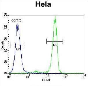 MED7 / CRSP9 Antibody (aa83-111)