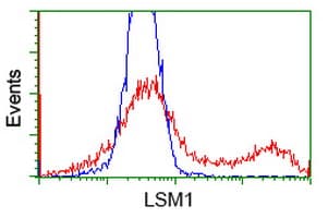 LSM1 Antibody (clone OTI5E6)