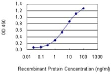 Monoclonal Mouse anti-Human c-CBL Antibody (clone 6D12, WB)